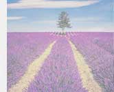 Lavendel Slider